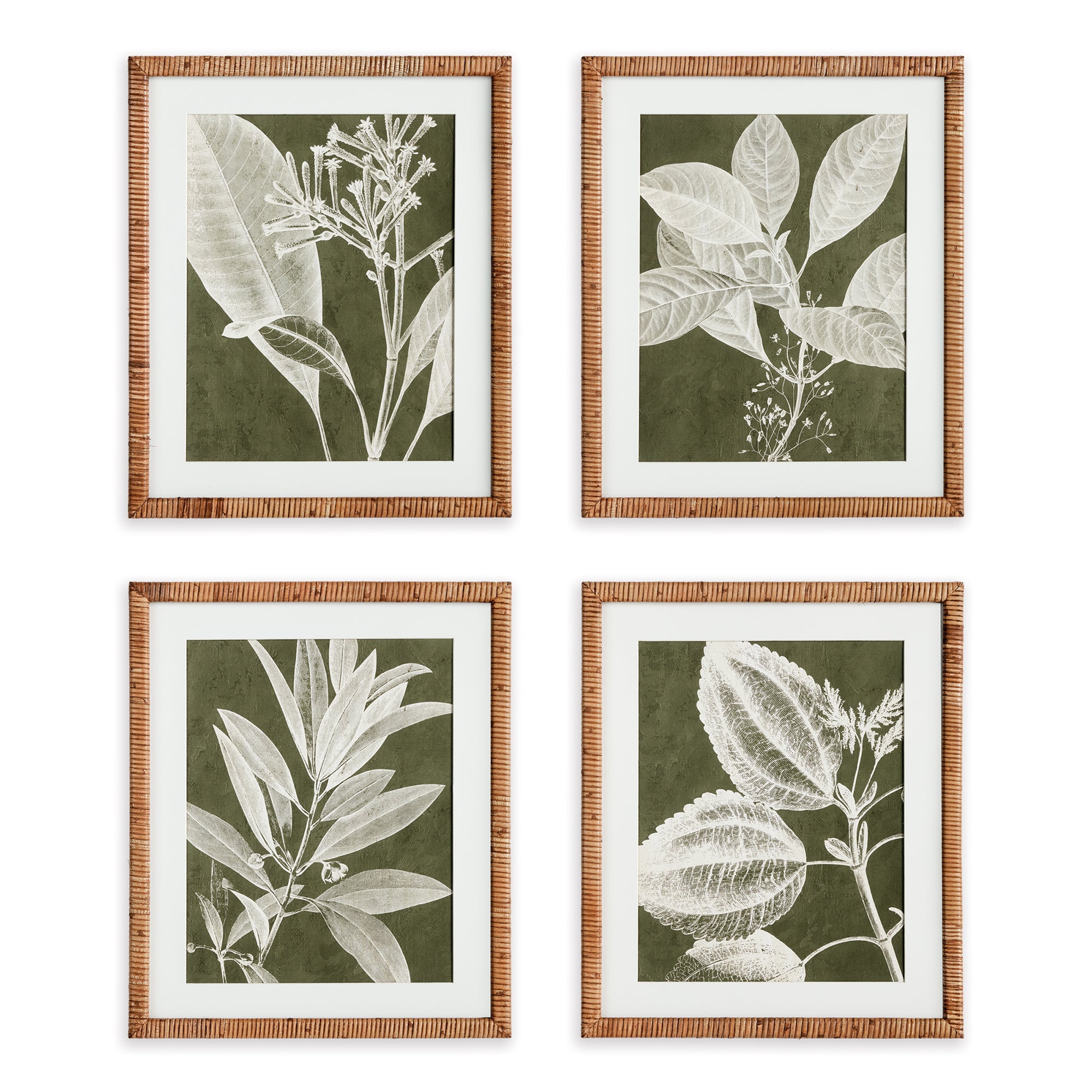 Translucent Stem Print, Set of 4