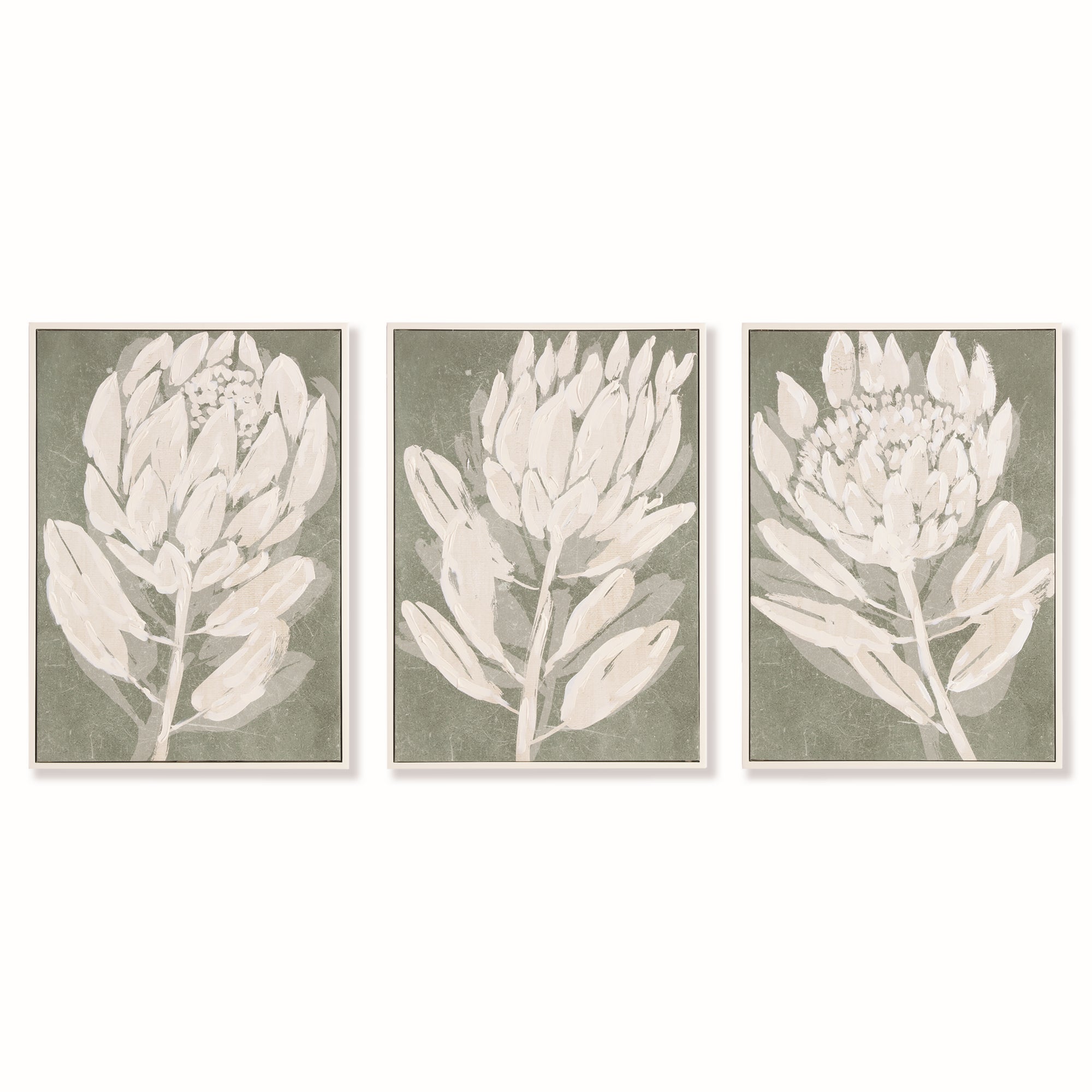 Protea Hand Embellished Giclee, Set of 3