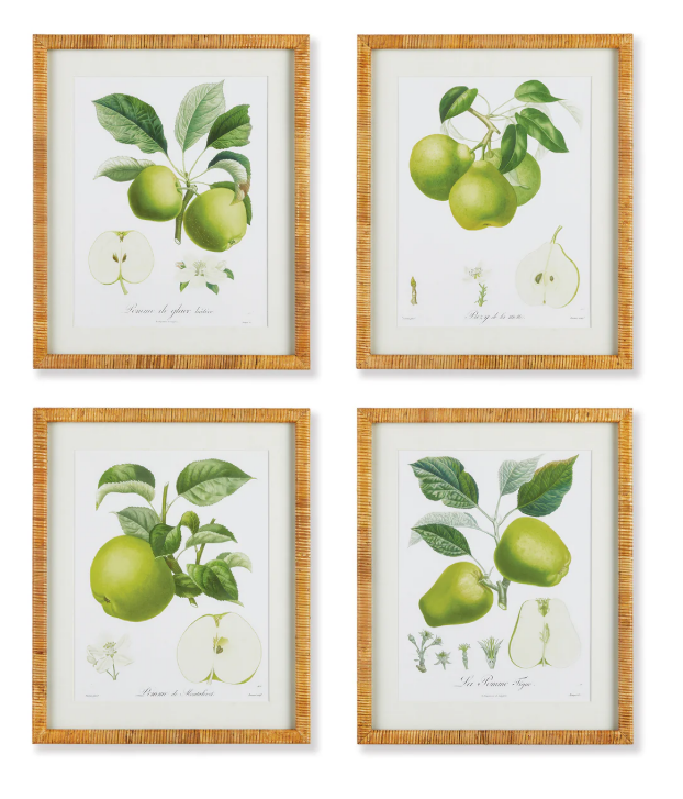 Fruit Study, Set of 4