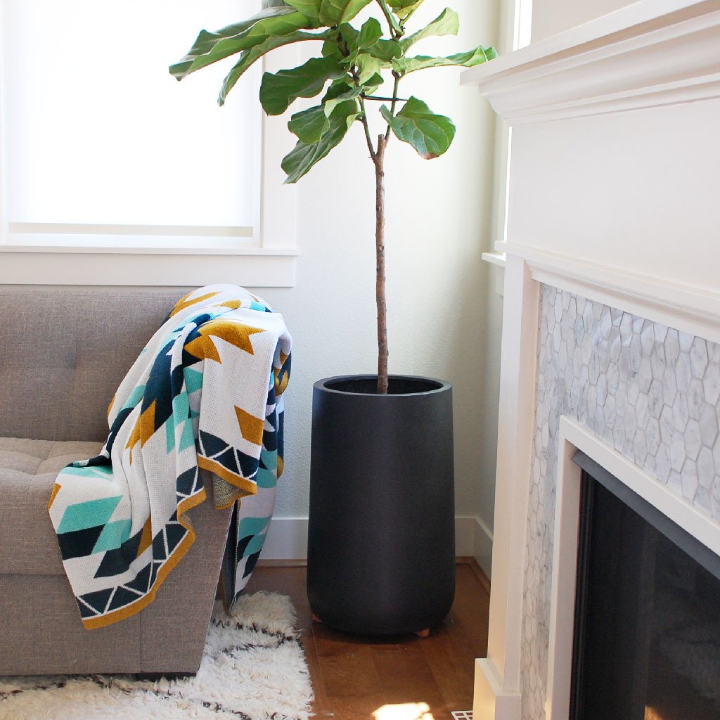 Santa Fe Throw Blanket
