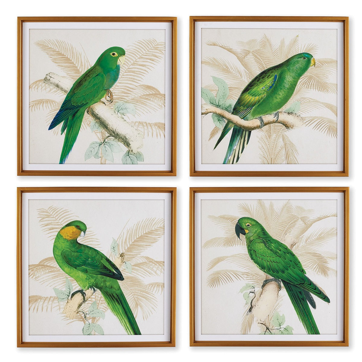 Green Parrot Prints (Set of 4)